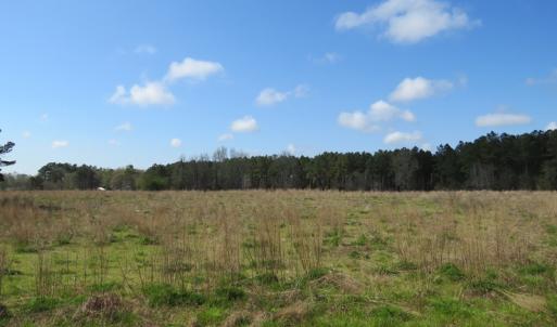 Photo of UNDER CONTRACT!  138 +/- Acres of Farm and Timber Land For Sale in Brunswick County NC!
