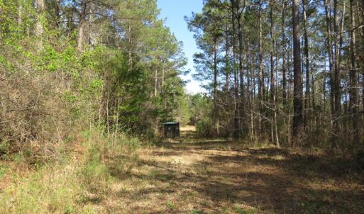 Photo of UNDER CONTRACT!  138 +/- Acres of Farm and Timber Land For Sale in Brunswick County NC!