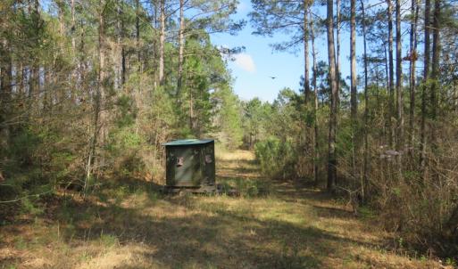 Photo of UNDER CONTRACT!  138 +/- Acres of Farm and Timber Land For Sale in Brunswick County NC!