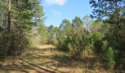 Photo of UNDER CONTRACT!  138 +/- Acres of Farm and Timber Land For Sale in Brunswick County NC!