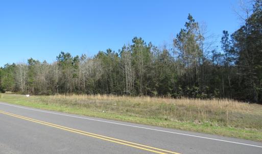 Photo of UNDER CONTRACT!  138 +/- Acres of Farm and Timber Land For Sale in Brunswick County NC!