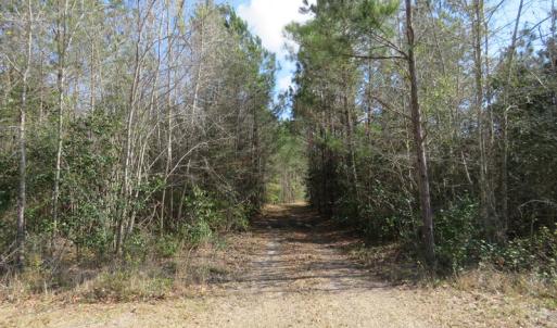Photo of UNDER CONTRACT!  138 +/- Acres of Farm and Timber Land For Sale in Brunswick County NC!
