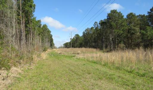 Photo of UNDER CONTRACT!  138 +/- Acres of Farm and Timber Land For Sale in Brunswick County NC!