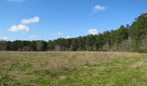 Photo of UNDER CONTRACT!  138 +/- Acres of Farm and Timber Land For Sale in Brunswick County NC!