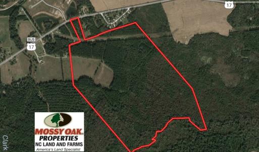 Photo of UNDER CONTRACT!  138 +/- Acres of Farm and Timber Land For Sale in Brunswick County NC!