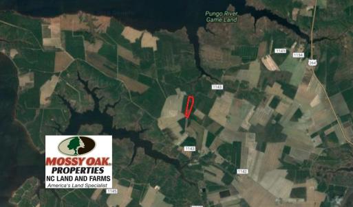 Photo of UNDER CONTRACT!  25.13 Acres of Affordable Clear Cut Timber Land For Sale in Hyde County NC!