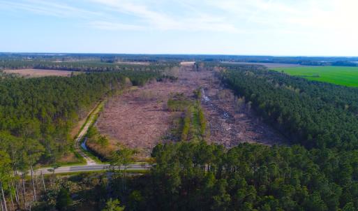 Photo of UNDER CONTRACT!  25.13 Acres of Affordable Clear Cut Timber Land For Sale in Hyde County NC!