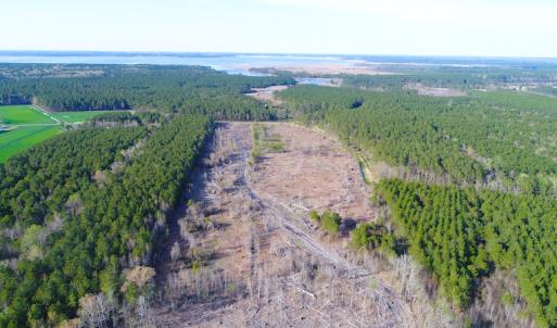Photo of UNDER CONTRACT!  25.13 Acres of Affordable Clear Cut Timber Land For Sale in Hyde County NC!