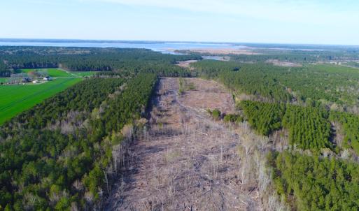 Photo of UNDER CONTRACT!  25.13 Acres of Affordable Clear Cut Timber Land For Sale in Hyde County NC!