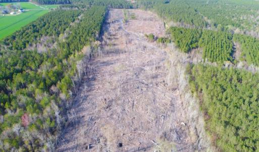 Photo of UNDER CONTRACT!  25.13 Acres of Affordable Clear Cut Timber Land For Sale in Hyde County NC!
