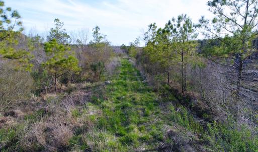 Photo of UNDER CONTRACT!  25.13 Acres of Affordable Clear Cut Timber Land For Sale in Hyde County NC!