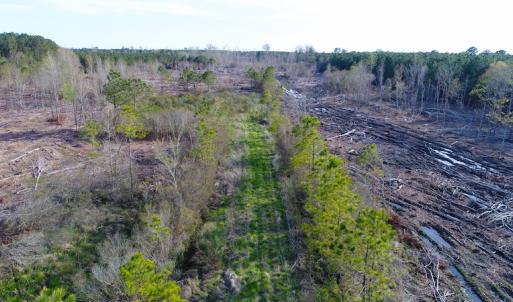 Photo of UNDER CONTRACT!  25.13 Acres of Affordable Clear Cut Timber Land For Sale in Hyde County NC!