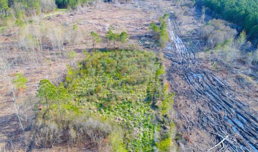 Photo of UNDER CONTRACT!  25.13 Acres of Affordable Clear Cut Timber Land For Sale in Hyde County NC!