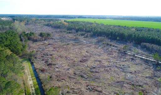 Photo of UNDER CONTRACT!  25.13 Acres of Affordable Clear Cut Timber Land For Sale in Hyde County NC!