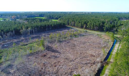 Photo of UNDER CONTRACT!  25.13 Acres of Affordable Clear Cut Timber Land For Sale in Hyde County NC!