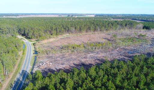 Photo of UNDER CONTRACT!  25.13 Acres of Affordable Clear Cut Timber Land For Sale in Hyde County NC!