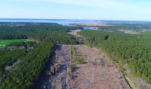 Photo of UNDER CONTRACT!  25.13 Acres of Affordable Clear Cut Timber Land For Sale in Hyde County NC!