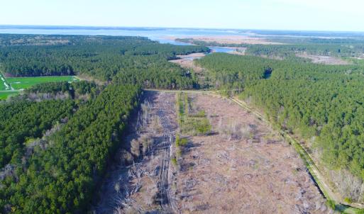 Photo of UNDER CONTRACT!  25.13 Acres of Affordable Clear Cut Timber Land For Sale in Hyde County NC!