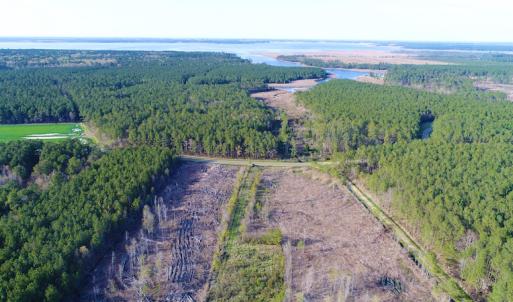 Photo of UNDER CONTRACT!  25.13 Acres of Affordable Clear Cut Timber Land For Sale in Hyde County NC!