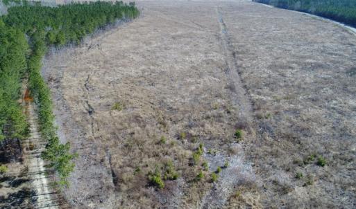 Photo of UNDER CONTRACT!  171 Acres of Timber Land For Sale In Halifax County NC!