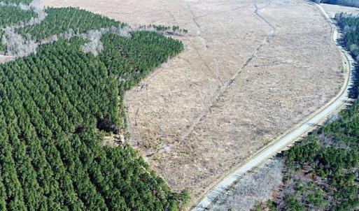 Photo of UNDER CONTRACT!  171 Acres of Timber Land For Sale In Halifax County NC!