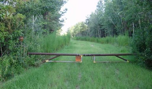 Photo of SOLD!!  62.82 Acres of Hunting and Timber Land for Sale in Pender County NC!