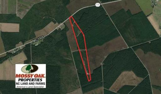 Photo of SOLD!!  62.82 Acres of Hunting and Timber Land for Sale in Pender County NC!