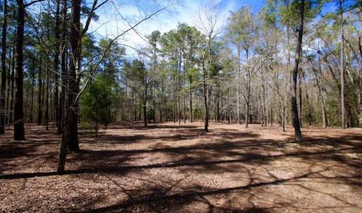Photo of UNDER CONTRACT!  Estate Home and Land for Sale in Greenville NC!