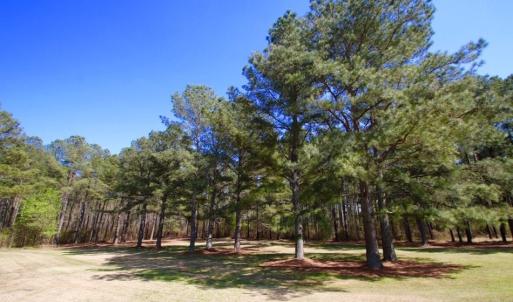 Photo of UNDER CONTRACT!  Estate Home and Land for Sale in Greenville NC!