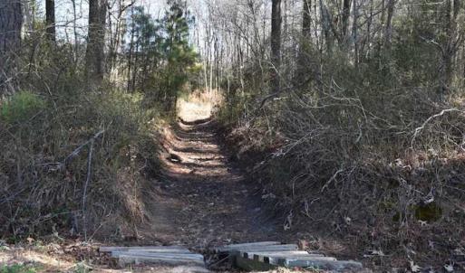 Photo of SOLD!  30 Acres of Recreational Land For Sale in Accomack County VA!