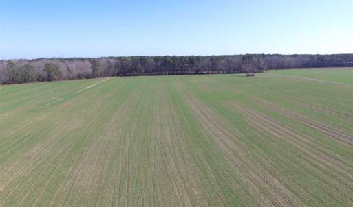 Photo of SOLD!  30 Acres of Recreational Land For Sale in Accomack County VA!