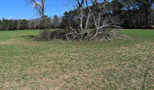 Photo of SOLD!  30 Acres of Recreational Land For Sale in Accomack County VA!