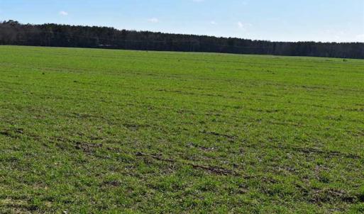 Photo of SOLD!  30 Acres of Recreational Land For Sale in Accomack County VA!