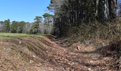 Photo of SOLD!  30 Acres of Recreational Land For Sale in Accomack County VA!