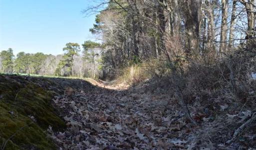 Photo of SOLD!  30 Acres of Recreational Land For Sale in Accomack County VA!