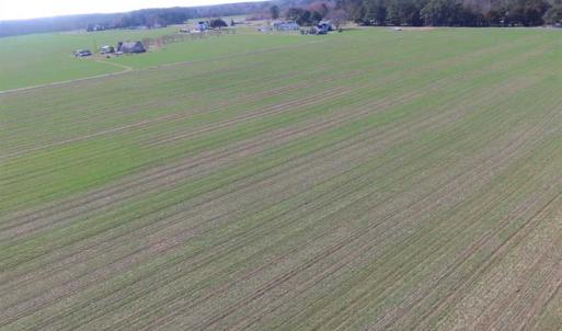 Photo of SOLD!  30 Acres of Recreational Land For Sale in Accomack County VA!
