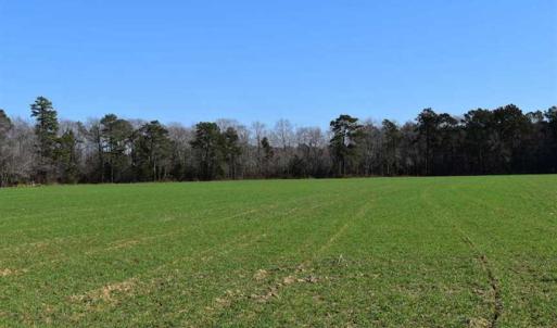 Photo of SOLD!  30 Acres of Recreational Land For Sale in Accomack County VA!