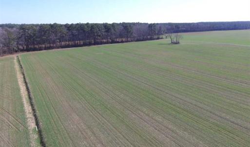 Photo of SOLD!  30 Acres of Recreational Land For Sale in Accomack County VA!