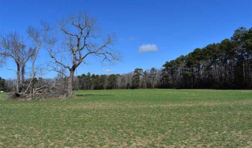Photo of SOLD!  30 Acres of Recreational Land For Sale in Accomack County VA!