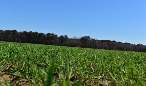 Photo of SOLD!  30 Acres of Recreational Land For Sale in Accomack County VA!