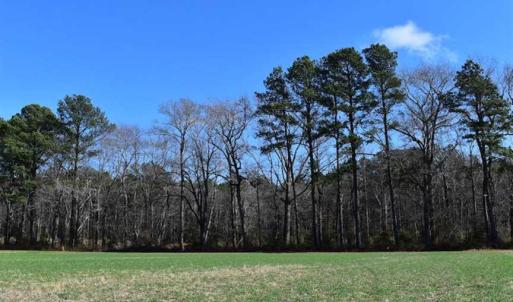 Photo of SOLD!  30 Acres of Recreational Land For Sale in Accomack County VA!