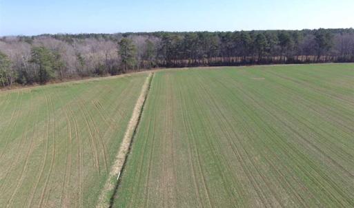 Photo of SOLD!  30 Acres of Recreational Land For Sale in Accomack County VA!