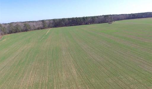 Photo of SOLD!  30 Acres of Recreational Land For Sale in Accomack County VA!