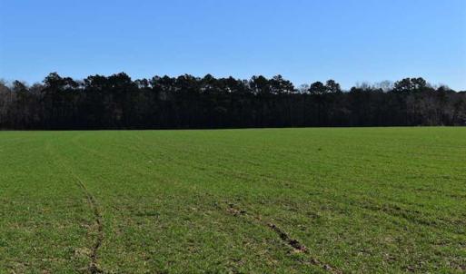 Photo of SOLD!  30 Acres of Recreational Land For Sale in Accomack County VA!