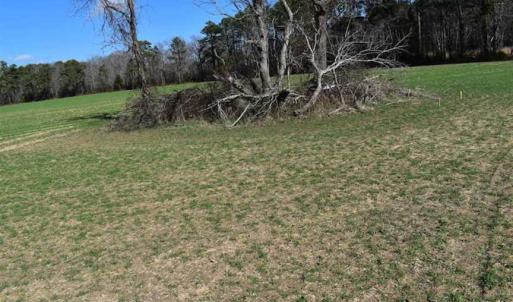 Photo of SOLD!  30 Acres of Recreational Land For Sale in Accomack County VA!