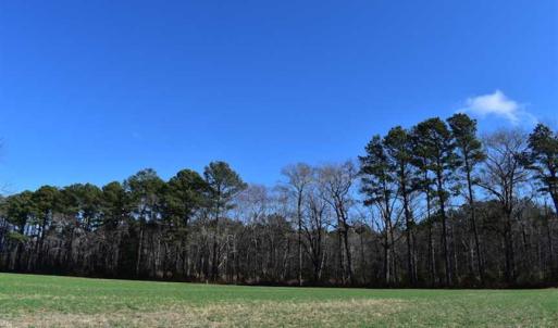 Photo of SOLD!  30 Acres of Recreational Land For Sale in Accomack County VA!