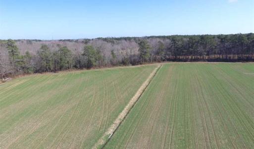 Photo of SOLD!  30 Acres of Recreational Land For Sale in Accomack County VA!