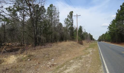 Photo of UNDER CONTRACT!  4 Acres of Hunting and Timber Land for Sale in Scotland County NC!