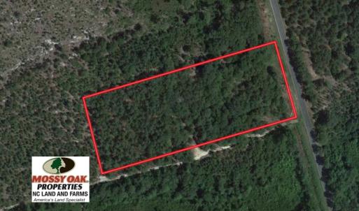 Photo of UNDER CONTRACT!  4 Acres of Hunting and Timber Land for Sale in Scotland County NC!
