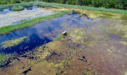 Photo of UNDER CONTRACT!  Duck Impoundment and Hunting Land For Sale in Pamlico County NC!